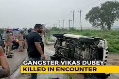 Car Tried To Avoid Cattle, Flipped, Vikas Dubey Tried To Escape: Cops Car Tried To Avoid Cattle, Flipped, Vikas Dubey Tried To Escape: Cops