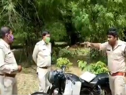 Watch: "You're Criminal, Not Ranger," Guard Rebukes Rangers Over Bamboo Cutting In Chhattisgarh Watch: "You're Criminal, Not Ranger," Guard Rebukes Rangers Over Bamboo Cutting In Chhattisgarh