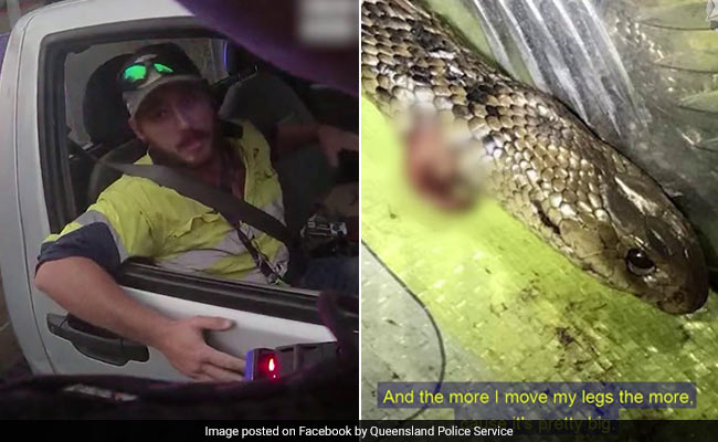 Video: In Terrifying Encounter, Man Fights Off Deadly Snake While Driving