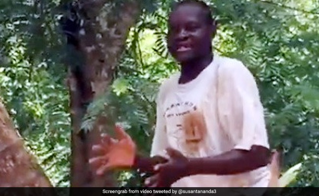 विदेशी ने पेड़ पर चढ़कर गाया अमिताभ बच्चन का गाना, ताली बजाकर दिया जबरदस्त म्यूजिक - देखें Viral Video