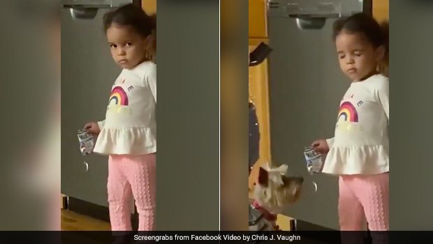 Little Girl Gets Caught Trying To Grab Snack, Her Cute Cover-Up Will Make You Smile!