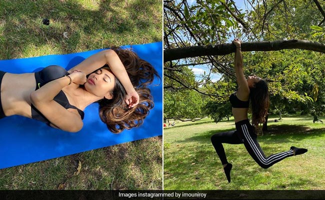 मौनी रॉय की Photo हुईं वायरल, कभी पेड़ों पर लटकती तो कभी ठंडी छाव में आराम करती आईं नजर