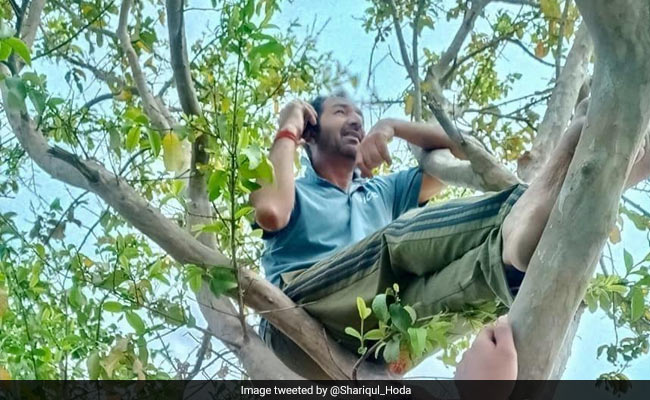 अंपायर अनिल चौधरी की मेहनत रंग लाई, अब गांववासियों को पेड़ पर चढ़कर फोन से बात नहीं करनी पड़ती है
