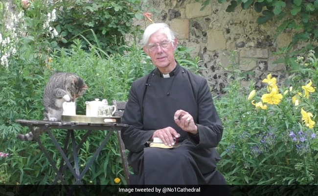 LIVE स्ट्रीमिंग के जरिए Church के फादर कर रहे थे मॉर्निंग प्रेयर, तभी  टेबल पर बैठकर बिल्ली पीने लगी दूध.... देखें Video