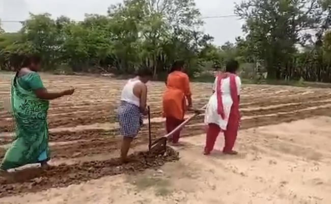 Chandrababu Naidu Joins Sonu Sood To Help Andhra Farmer After Viral Video