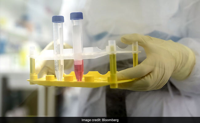 In Coronavirus, Antibodies May Wane, T-Cells Are The New Hero