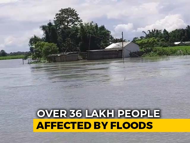 Stranded On Sliver Of High Ground: Scenes In Flood-Hit Assam