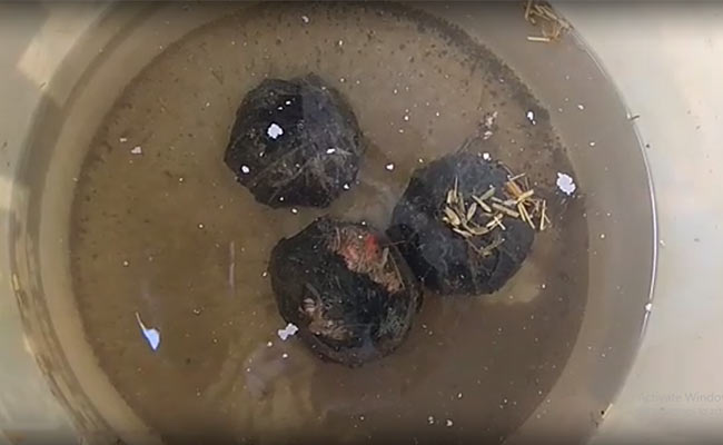 कानपुर : विकास दुबे की घर के सामने वाली छत से मिले बम, उसके गुर्गों या मोस्ट वांटेड क्रिमिनलों की ये हैं 15 तस्वीरें