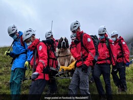16 People Rescue "Embarrassed" St Bernard Dog From England's Highest Mountain 16 People Rescue "Embarrassed" St Bernard Dog From England's Highest Mountain