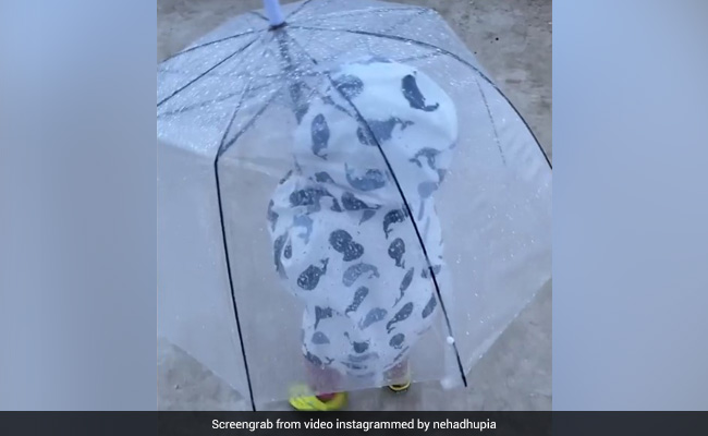 बरसात में छाता लेकर मस्ती करती दिखी नेहा धूपिया की बेटी मेहर, क्यूट Video हुआ वायरल