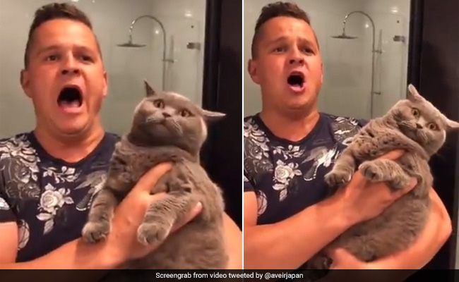 शख्स ने बिल्ली के सामने आया गाया ऐसा गाना, तो हो गई नाराज और फिर... देखें Video