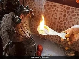Nag Panchami: Know Why The Day Is Important For Devotees Of Lord Shiva Nag Panchami: Know Why The Day Is Important For Devotees Of Lord Shiva