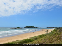Teen Killed In Suspected Shark Attack Off Australian Coast: Police Teen Killed In Suspected Shark Attack Off Australian Coast: Police