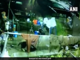 Video: घर में दबे पांव घुसा तेंदुआ, पल भर में कुत्ते को जबड़े में दबाकर बिजली की रफ्तार से निकल गया Video: घर में दबे पांव घुसा तेंदुआ, पल भर में कुत्ते को जबड़े में दबाकर बिजली की रफ्तार से निकल गया