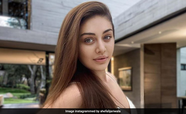<i>Bigg Boss 13</i>'s Shefali Zariwala Talks About First Epilepsy Seizure At 15 In Viral Interview