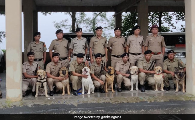 Mizoram Revives Dog Squad Created 20 Years Ago, Inducts 8 Canines