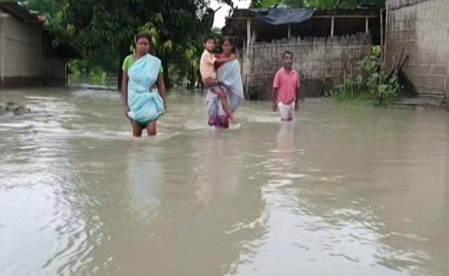 Flood Water Breaching Embankments In Assam, Endangering Crops