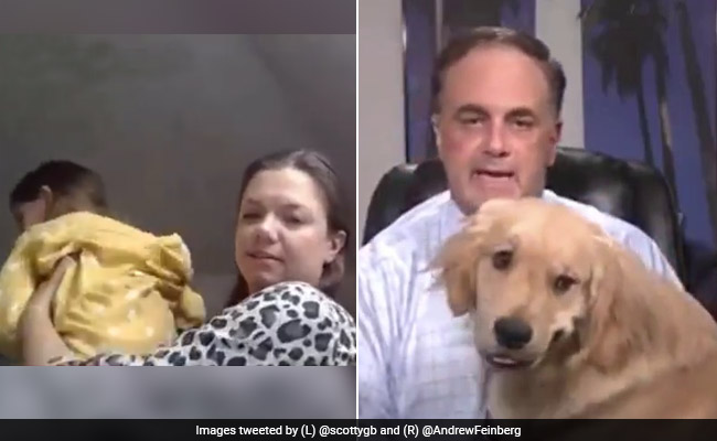 From Curious Pets To Demanding Kids: See The Funniest Bloopers On TV