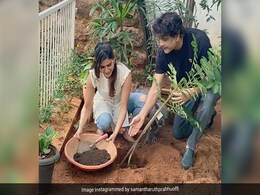 इस एक्ट्रेस ने अपने सुपरस्टार ससुर के साथ मिलकर लगाया कढ़ी पत्ते का पौधा, Video हुआ वायरल इस एक्ट्रेस ने अपने सुपरस्टार ससुर के साथ मिलकर लगाया कढ़ी पत्ते का पौधा, Video हुआ वायरल