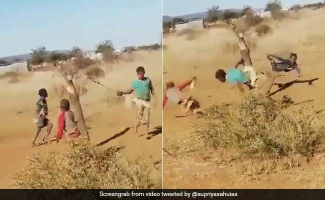 गांव में बच्चों ने पेड़ को बना दिया झूला और घूमने लगे गोल-गोल, IAS ने दिया ऐसा रिएक्शन - देखें Video