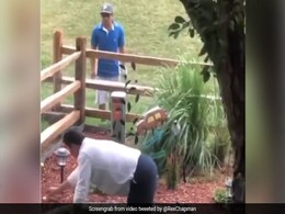 शॉट मारने के बाद बॉल ढूंढने आया गोल्फर, जमीन पर पड़ा दिखा शख्स तो उड़े होश... देखें Viral Video शॉट मारने के बाद बॉल ढूंढने आया गोल्फर, जमीन पर पड़ा दिखा शख्स तो उड़े होश... देखें Viral Video