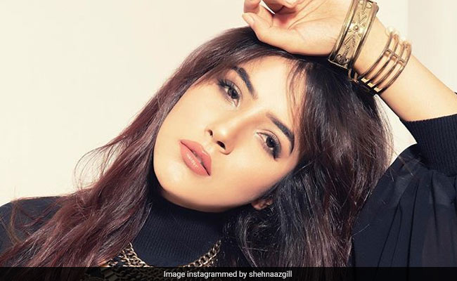 शहनाज गिल ने ब्लैक ड्रेस में अपनी शानदार Pic की शेयर, आप भी देखकर कहेंगे- Wow