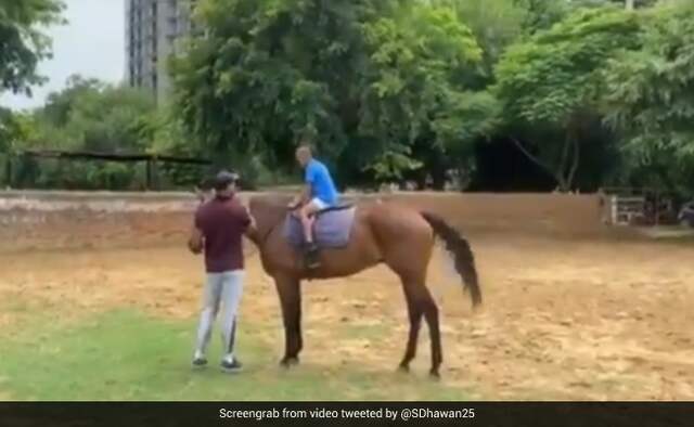 Shikhar Dhawan Gives Son Zoraver Horse Riding Lesson Watch Video Shikhar Dhawan Gives Son Zoraver Horse Riding Lesson Watch Video