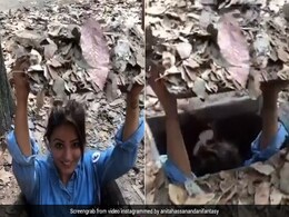 टीवी की इच्छाधारी नागिन 2020 से बचने के लिए छुप गईं मैनहोल के अंदर, मजेदार Video हुआ वायरल टीवी की इच्छाधारी नागिन 2020 से बचने के लिए छुप गईं मैनहोल के अंदर, मजेदार Video हुआ वायरल