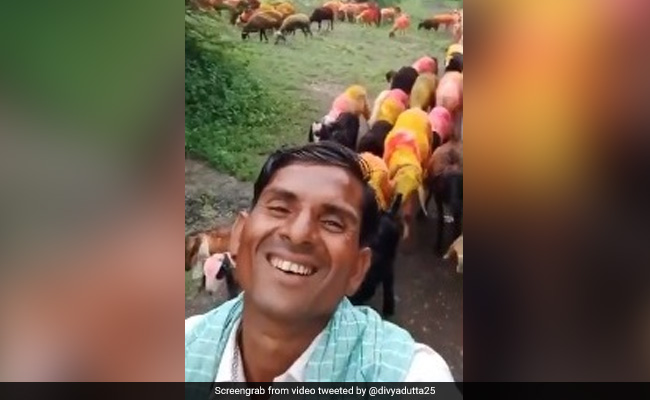 Viral Video: शख्स ने भेड़-बकरी चराते हुए की सलमान खान की ऐसी एक्टिंग, एक्ट्रेस बोलीं- ये हंसी...