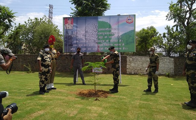 सीमा सुरक्षा बल के देश भर के परिसरों में ढाई लाख पौधों का रोपण