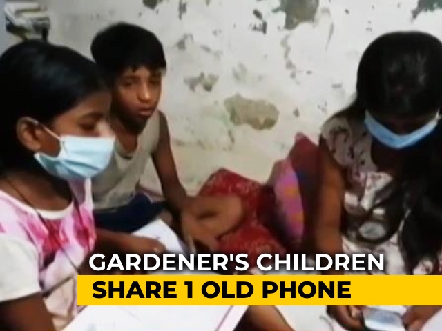 1 Old Phone, 3 Siblings: Delhi Gardener’s Children Take Turns For Classes