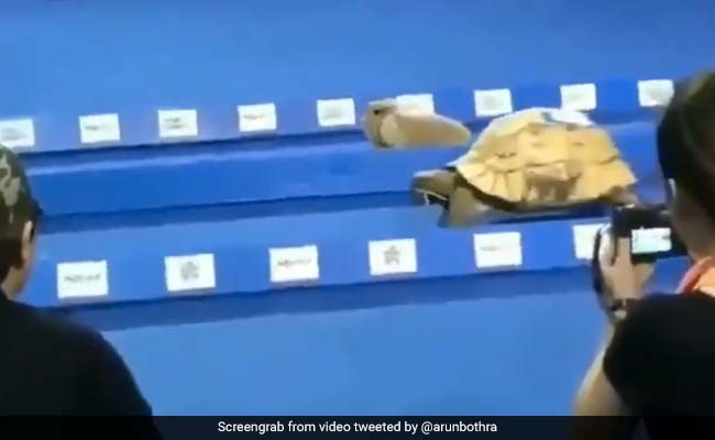 Just 7 Hilarious Tweets To Start Friday On A Good Note