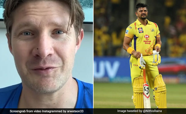IPL 2020: सुरेेश रैना के IPL नहीं खेलने पर आया शेन वॉट्सन का रिएक्शन, Video शेयर कर हुए इमोशनल