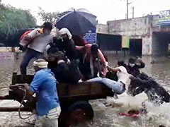 दिल्ली में 'नदी' बनीं सड़कें, बैलगाड़ी पलटी, छपाक से गिर गए लोग - देखें Video