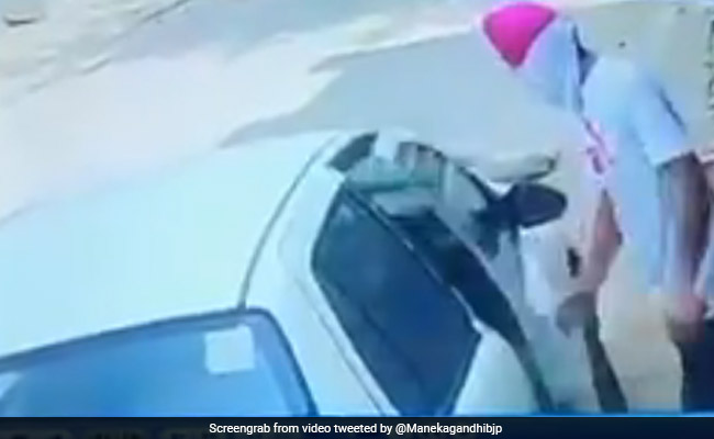 बीजेपी MP मेनका गांधी ने कुत्ते पर गाड़ी चढ़ाने का VIDEO किया शेयर, आरोपी पर केस दर्ज