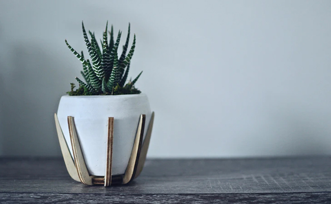 8 Trendy Pot Holders For Your Precious Potted Plants At Home