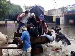 दिल्ली में 'नदी' बनीं सड़कें, बैलगाड़ी पलटी, छपाक से गिर गए लोग - देखें Video दिल्ली में 'नदी' बनीं सड़कें, बैलगाड़ी पलटी, छपाक से गिर गए लोग - देखें Video