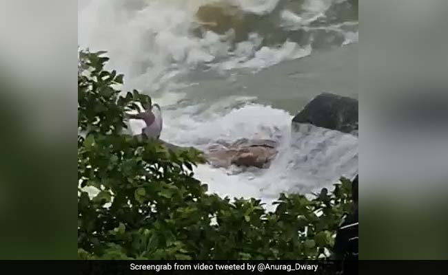 Watch: Dramatic IAF Rescue After Man Held On To Tree For 16 Hours At Dam
