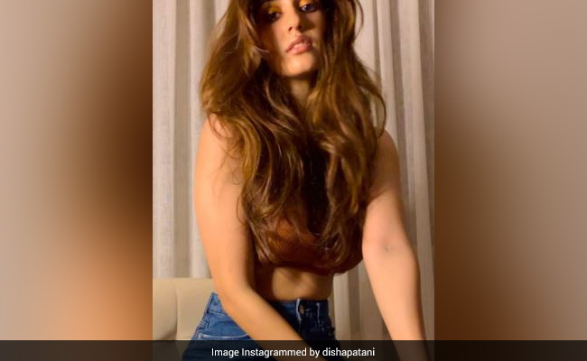 Disha Patani Photos: डेनिम शॉर्ट्स और ब्राउन क्रॉप टॉप में दिशा पटानी के ग्लैमरस अंदाज ने चुराया फैंस का दिल