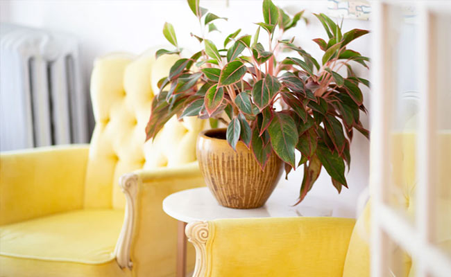 Brighten Up Your Homes With These 9 Yellow Decorative Items