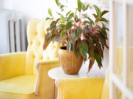 Brighten Up Your Homes With These 9 Yellow Decorative Items Brighten Up Your Homes With These 9 Yellow Decorative Items