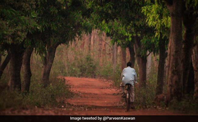 World Photography Day 2020: A Look At Incredible Pics Going Viral Online