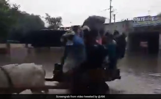 Gautam Gambhir's "Tughlaq" Dig Over Bullock Cart On Flooded Delhi Road