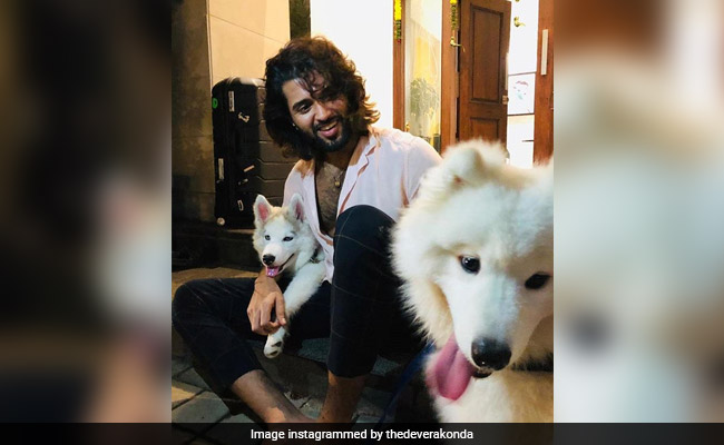 This Pic Of Vijay Deverakonda With His Furry Friends Has The Internet's Heart