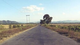 Manipur Census Without Removing 'Any Kuki Tribes' "Dangerous": Thadou Tribe Groups
