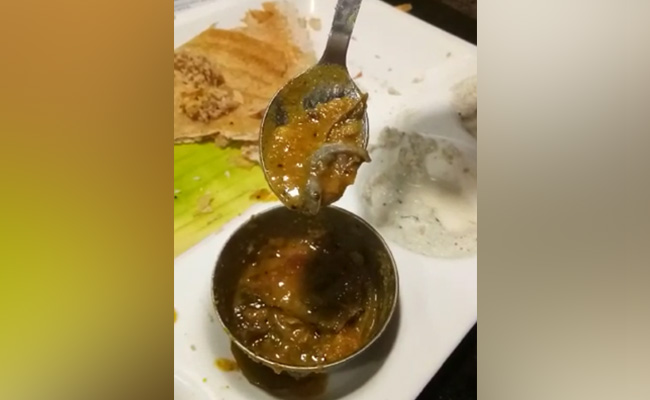 "Half Of It Missing": Man Finds Lizard In Sambar At Top Delhi Restaurant