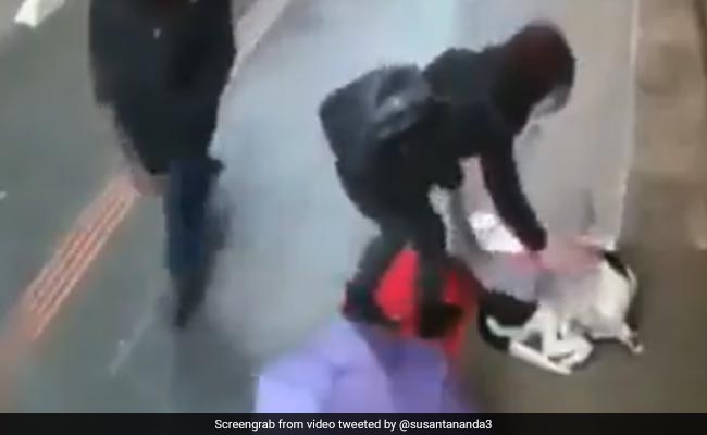 बारिश में ठंड से कांप रहा था आवारा कुत्ता, पास खड़ी महिला ने किया कुछ ऐसा... देखें Viral Video