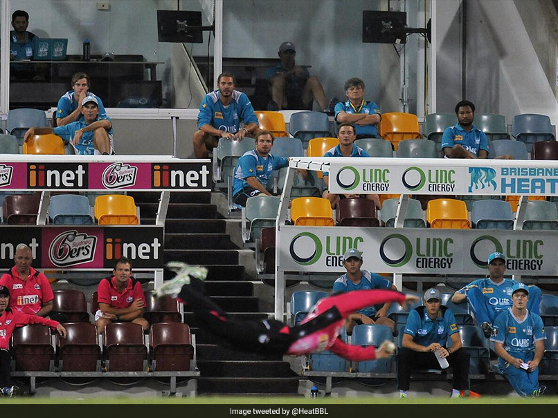 "BBL's Best Ever Catch?" Cricket Australia Revisits Jordan Silk's One-Handed Stunner. Watch