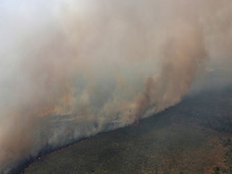 World's Largest Wetland, Brazil's Pantanal, Burns From Above And Below World's Largest Wetland, Brazil's Pantanal, Burns From Above And Below