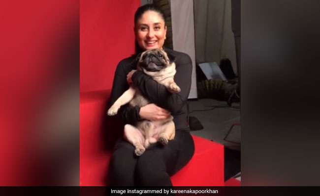 Have You Met Kareena Kapoor's Favourite Co-Star <s>Leo Di Caprio</s>? Sorry, We Meant Leo